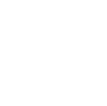 Pladisa